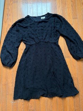 Women’s Swiss Dot Long-Sleeve Dress